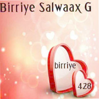 Birriye Salwaax