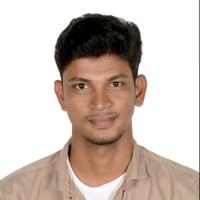 Palanikumar V