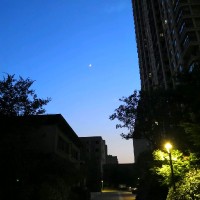 孟Melody