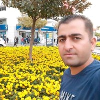 Saeed Safar