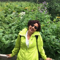 Ayşegül Ertan
