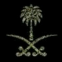 نوف المطيري