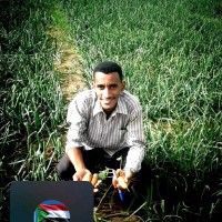 عبد المطلب محمد