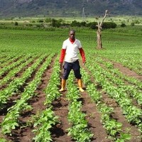 José Joaquim Mulima