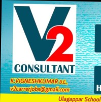V2 Consultant