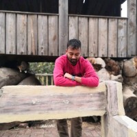 Ankit Mittal