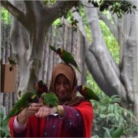 Shamsa Rafay