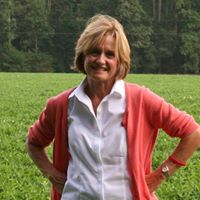Lynne Rabil