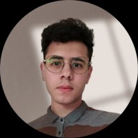 Amr Elmeslimany