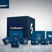 Offshore software development   Company