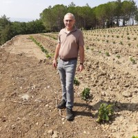 Marco Maggioni