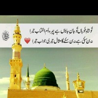 Sameen Sarwar