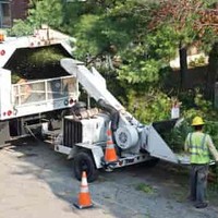 Tree Service
