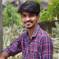 Paidi Pavan