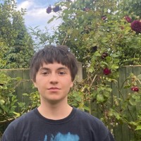 Dylan C