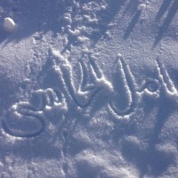 Aml Alhasey