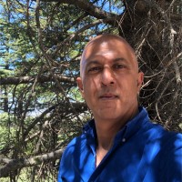 Bassam Karam