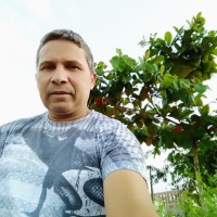 José Carlos Silva Oliveira