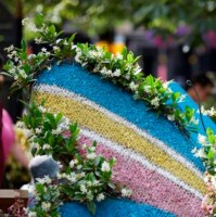 PaddingtonNow Admin Business Improvement District Admin