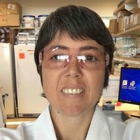 Lucia Borruso, Md