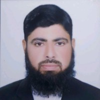 Sardar ali