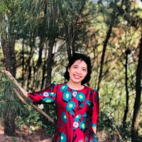 Hoang Anh