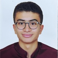 Karim Walid