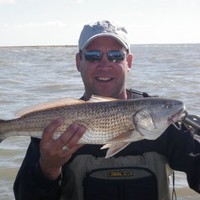 Cris Baird