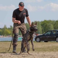 Ronin Dog Training