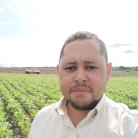 Marcelo Rocha