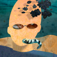 Bill Tite