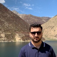 Waleed Qamar