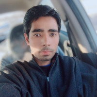 Shiekh Bashir