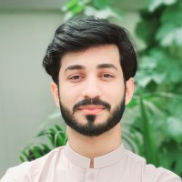 Muhammad Hamza Hameed