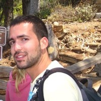 Yaron Lavi