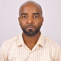 Haftom G. Hailu