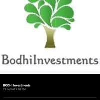 Bodhi Investments