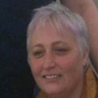 donna vincent