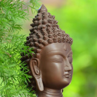 Tamma Hima Bindu