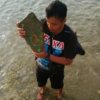 Widodo Topz