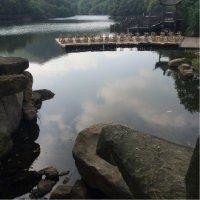鲁鹏涛