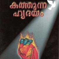 Naser Aluva