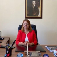 F. Derya Koç