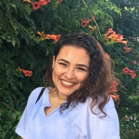 Avalon Arauzo