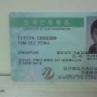 kelvin Yam