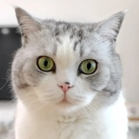 Gary Du