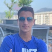 Djordje Vulovic