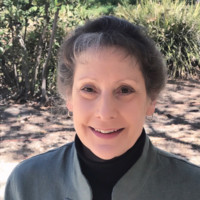 Pamela Harman