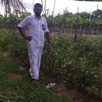 Venkatesh Mv