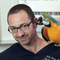 Dario d'Ovidio